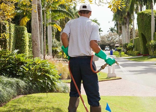 About Meadow Bridge WV Pest Control